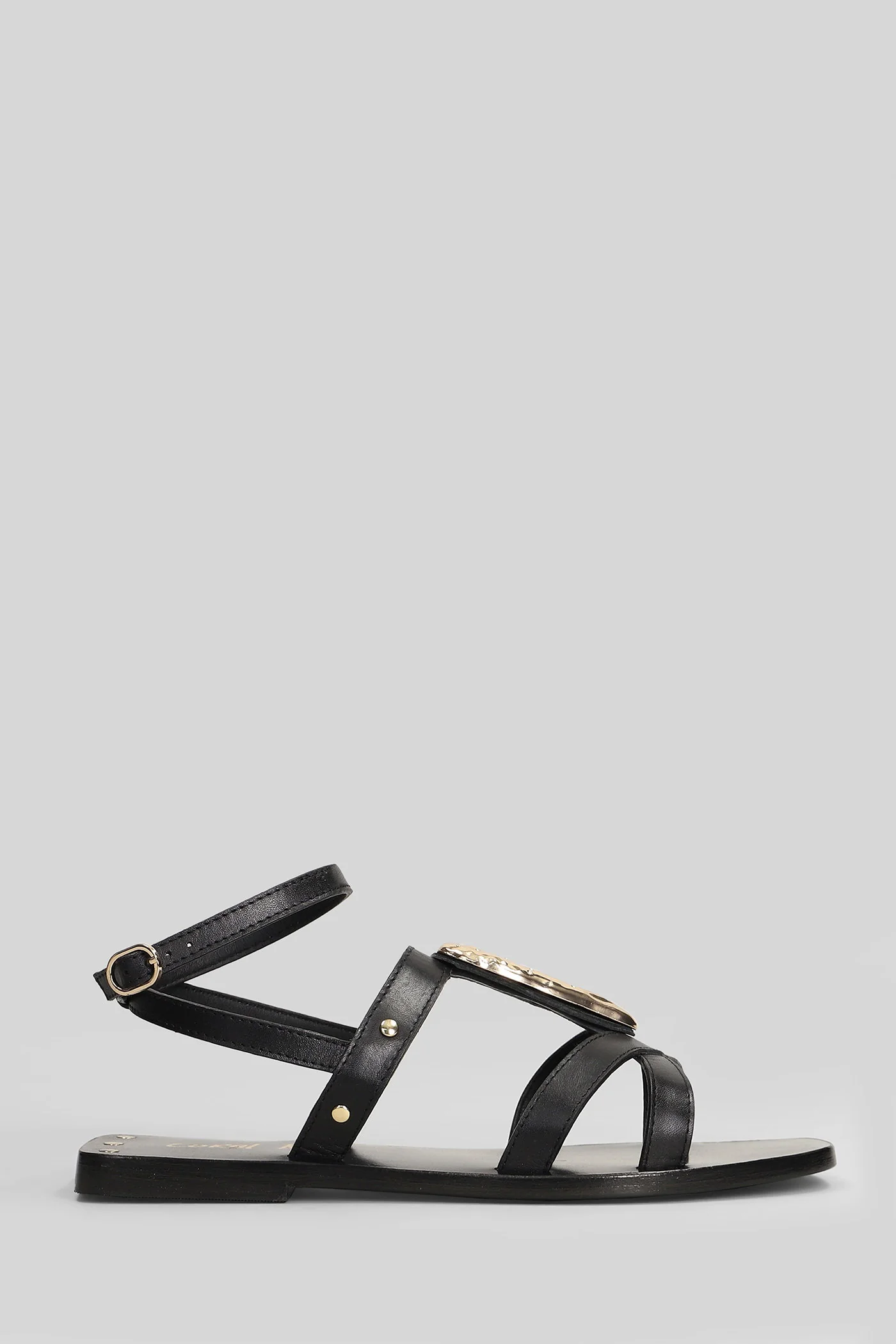Women's Shoes New Arrivals